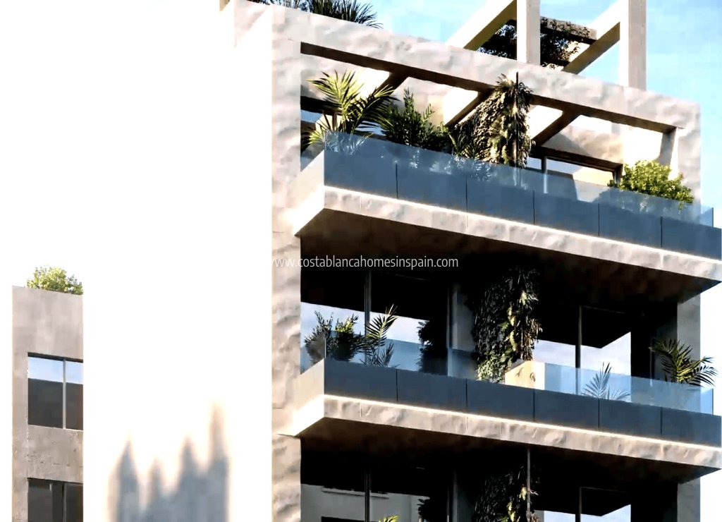 Obra Nueva - Apartment - Torrevieja