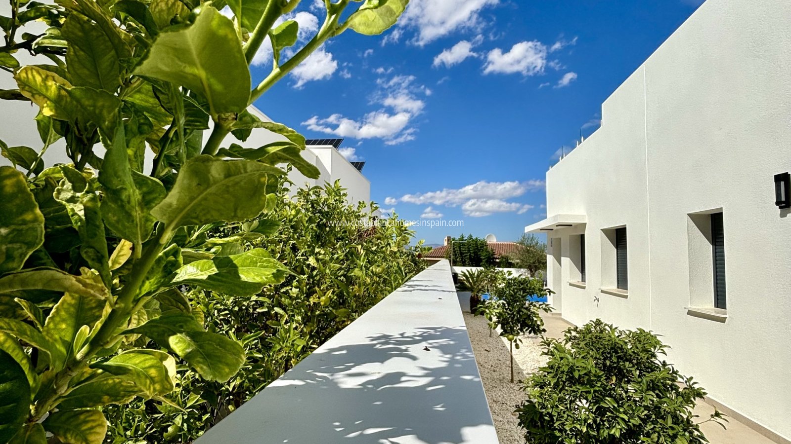 Obra Nueva - Detached Villa - Benijófar