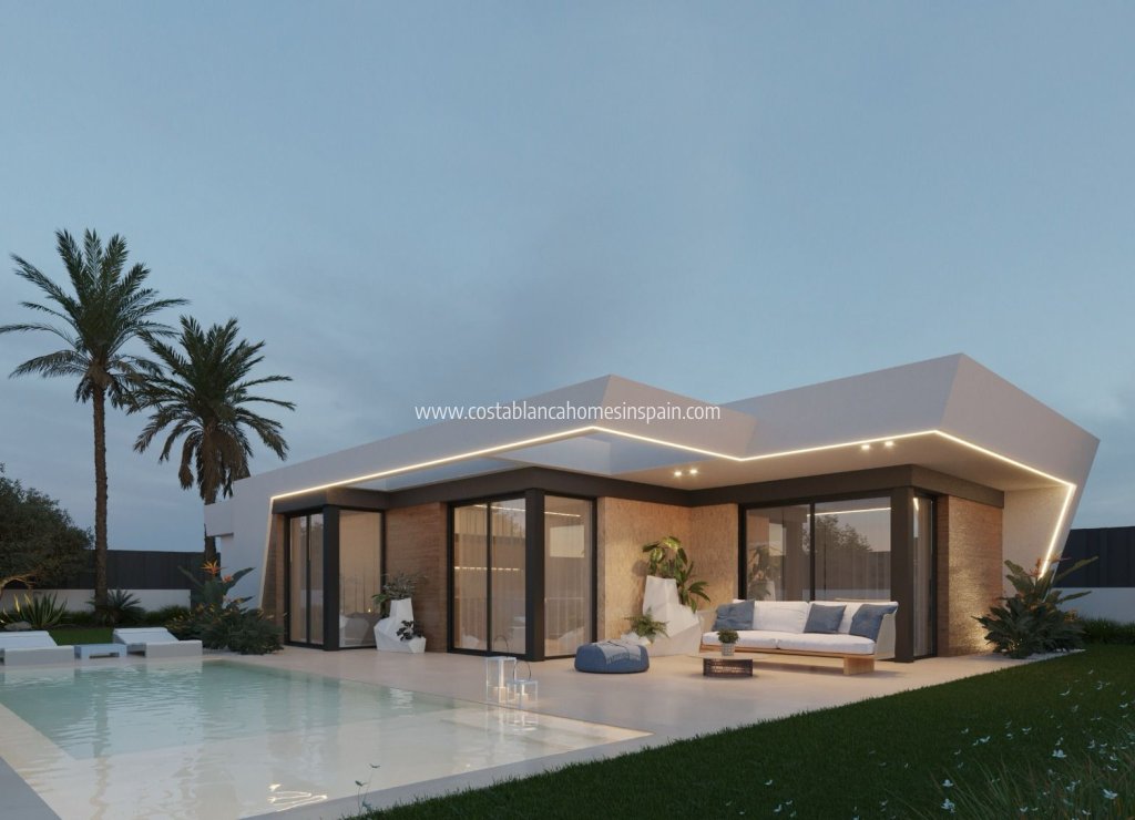 Obra Nueva - Detached Villa - Molina de Segura