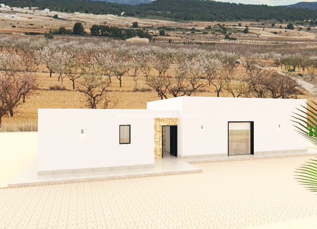 Obra Nueva - Detached Villa - Pinoso