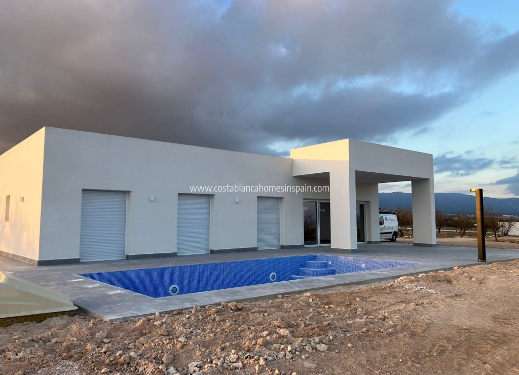Obra Nueva - Detached Villa - Pinoso