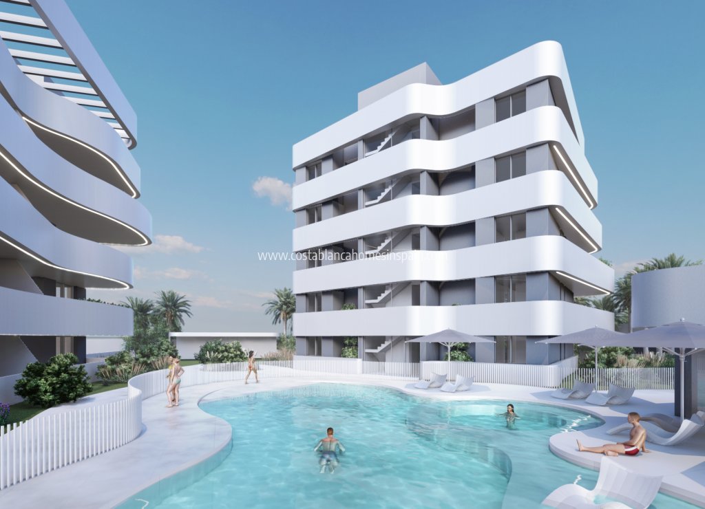Obra Nueva - Townhouse - Guardamar del Segura