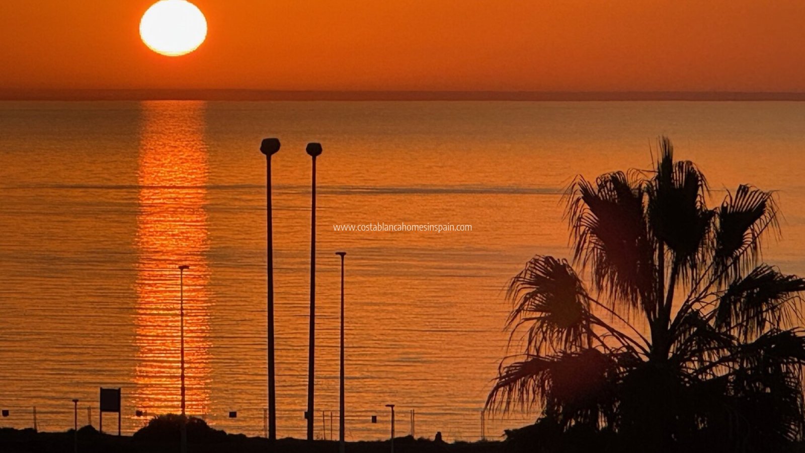 Re-salg - Apartment - Playa Flamenca - Orihuela Costa