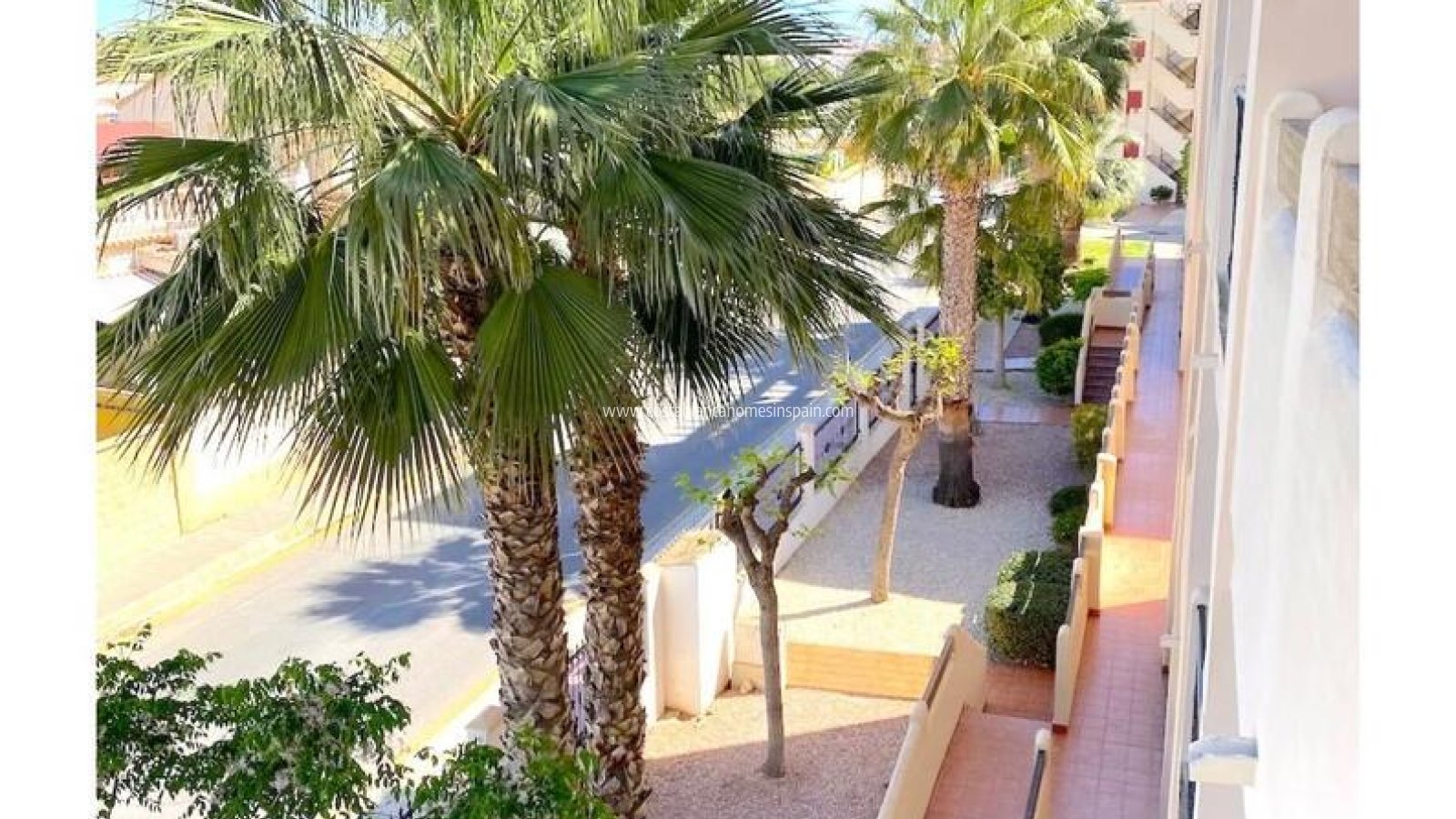 Re-salg - Apartment - Playa Flamenca - Orihuela Costa