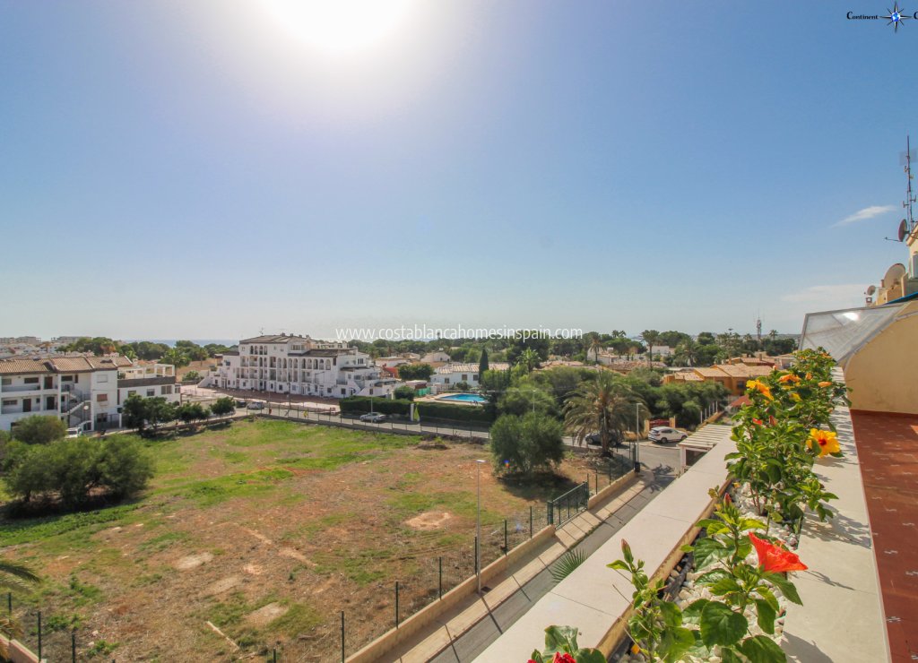 Re-salg - Apartment - Punta Prima - Beachside