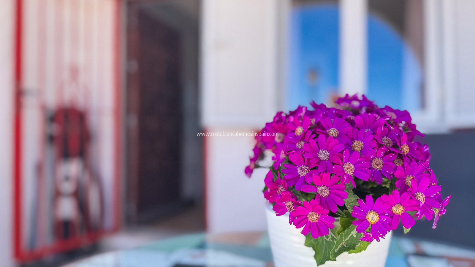Re-salg - Apartment - Torrevieja - Cabo cervera