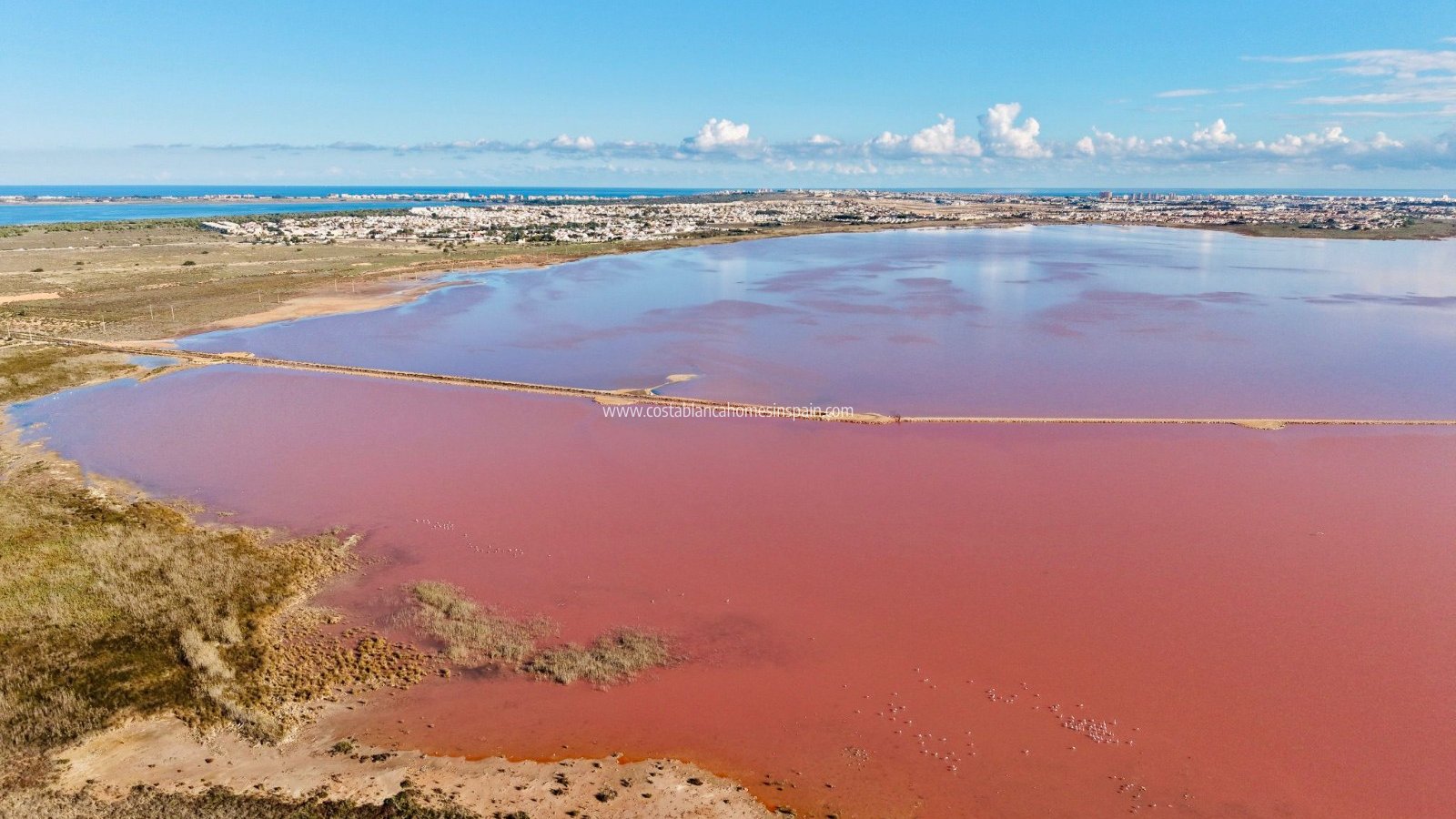 Re-salg - Apartment - Torrevieja - Centro