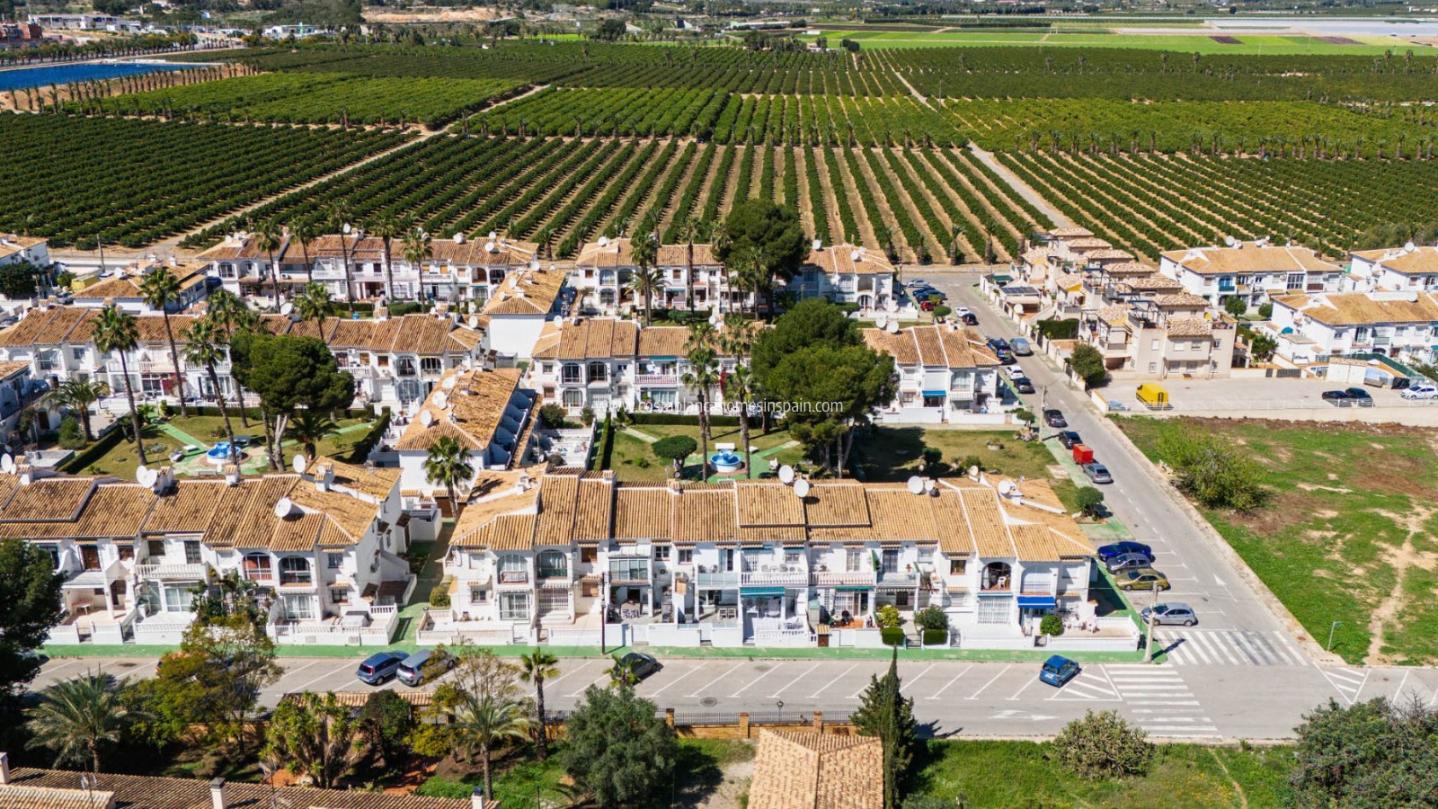 Re-salg - Apartment - Torrevieja - Lago jardin