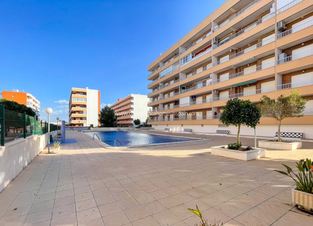 Re-salg - Apartment - Torrevieja - Punta Prima