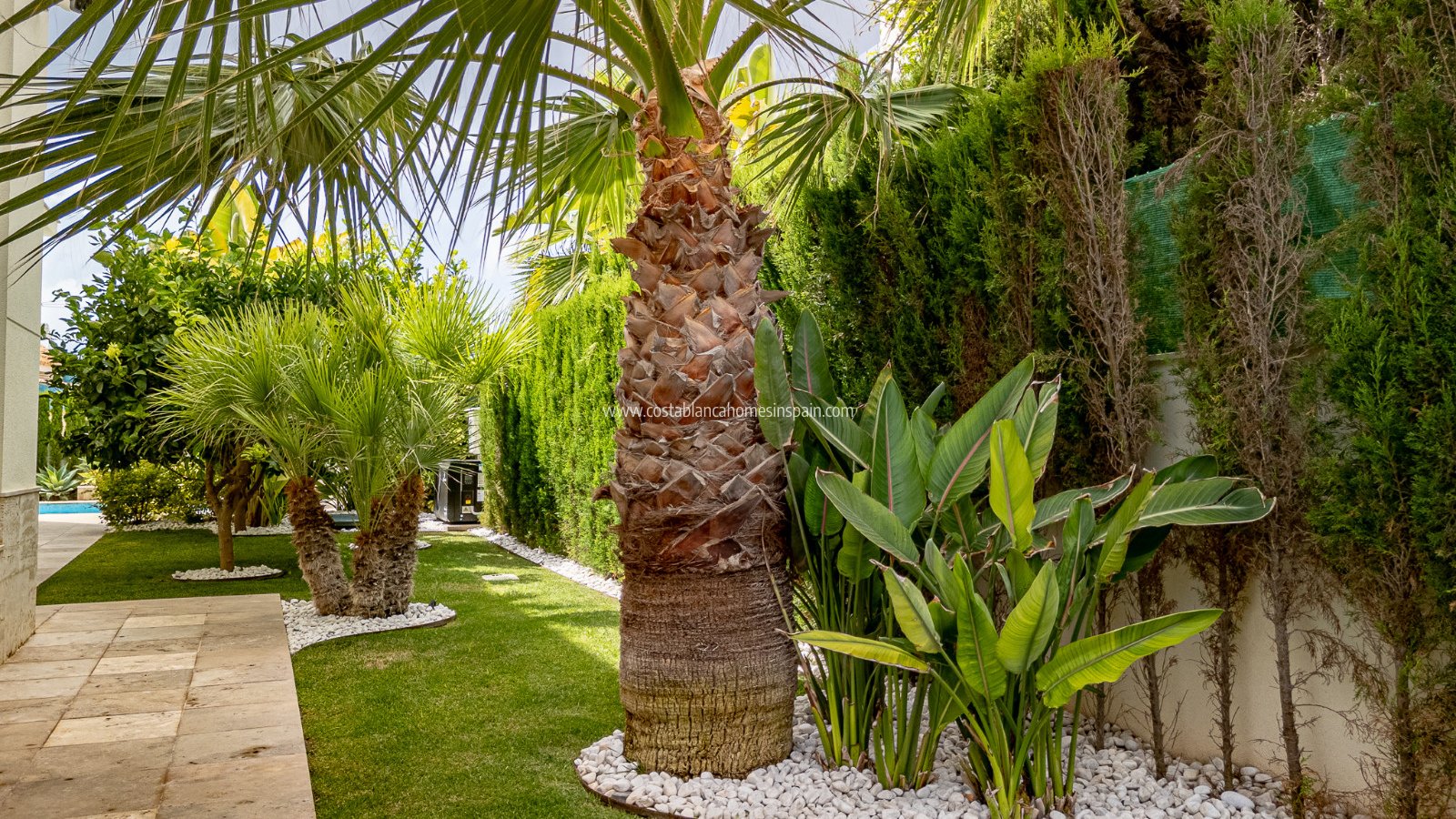 Re-salg - Detached Villa - La Zenia - Beachside