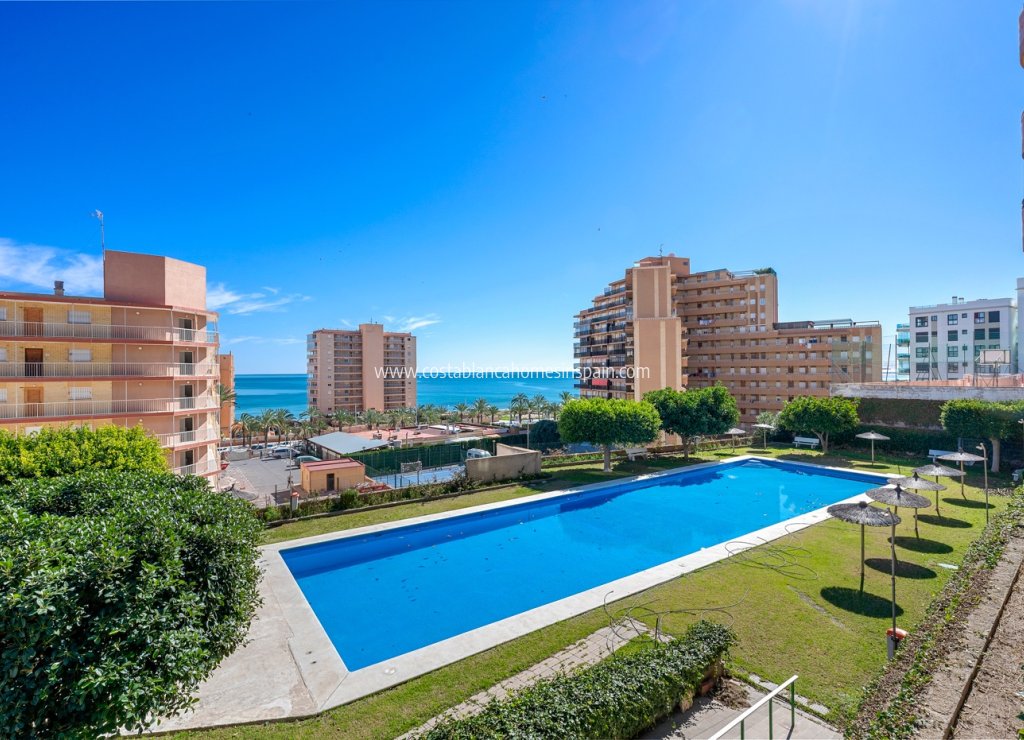 Resale - Apartment - Arenales del sol - Segunda linea playa