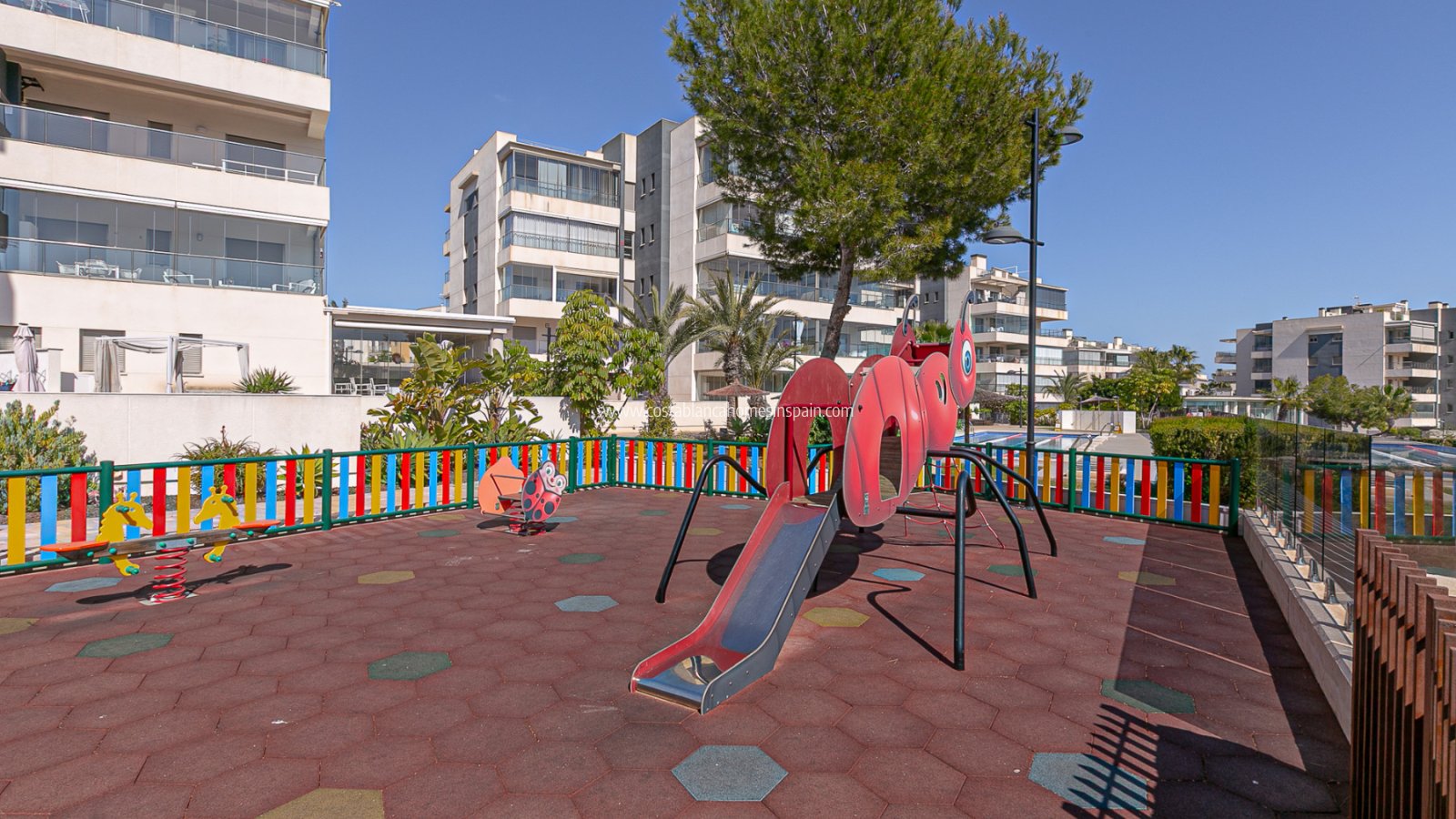 Resale - Apartment - Los Dolses - Pimienta
