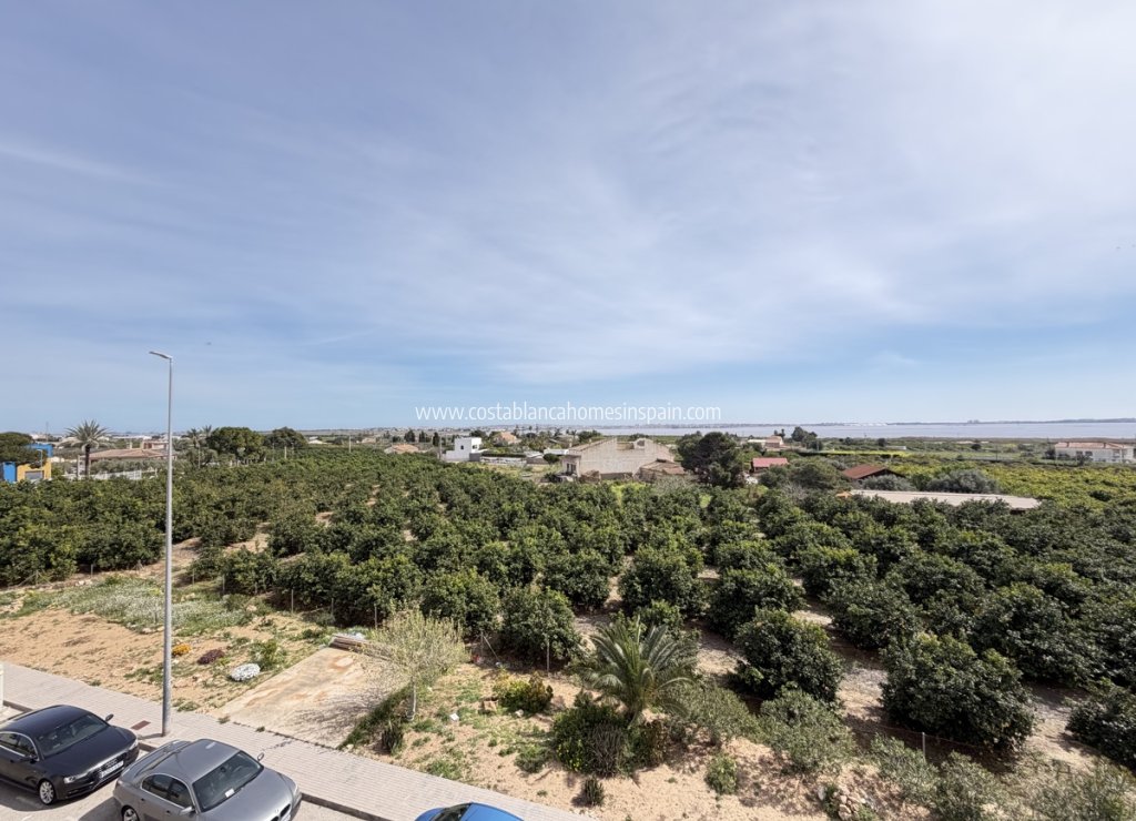 Resale - Apartment - Los Montesinos