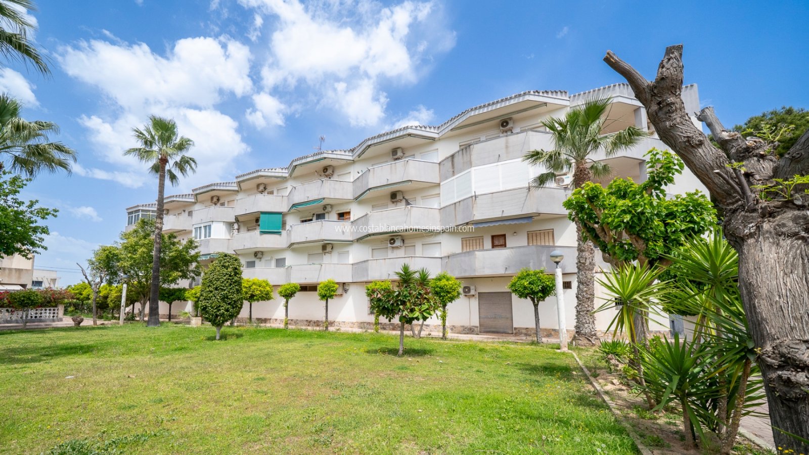 Resale - Apartment - Orihuela Costa - Cabo Roig