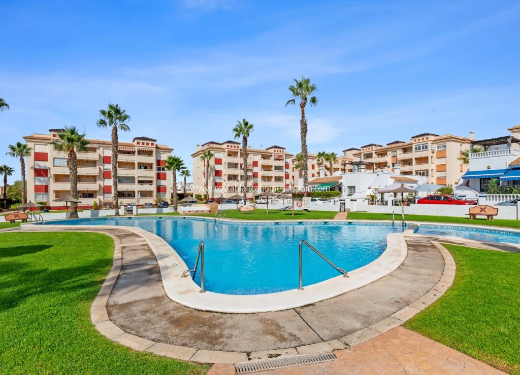 Resale - Apartment - Playa Flamenca - Costa Blanca South