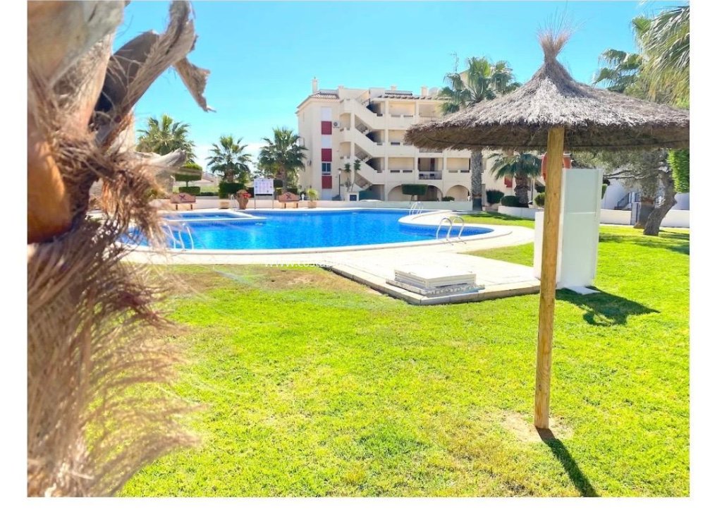 Resale - Apartment - Playa Flamenca - Orihuela Costa