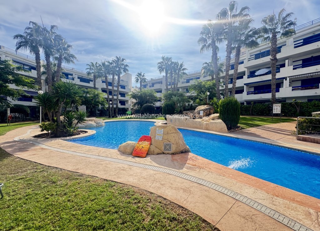 Resale - Apartment - Playa Flamenca - Orihuela Costa