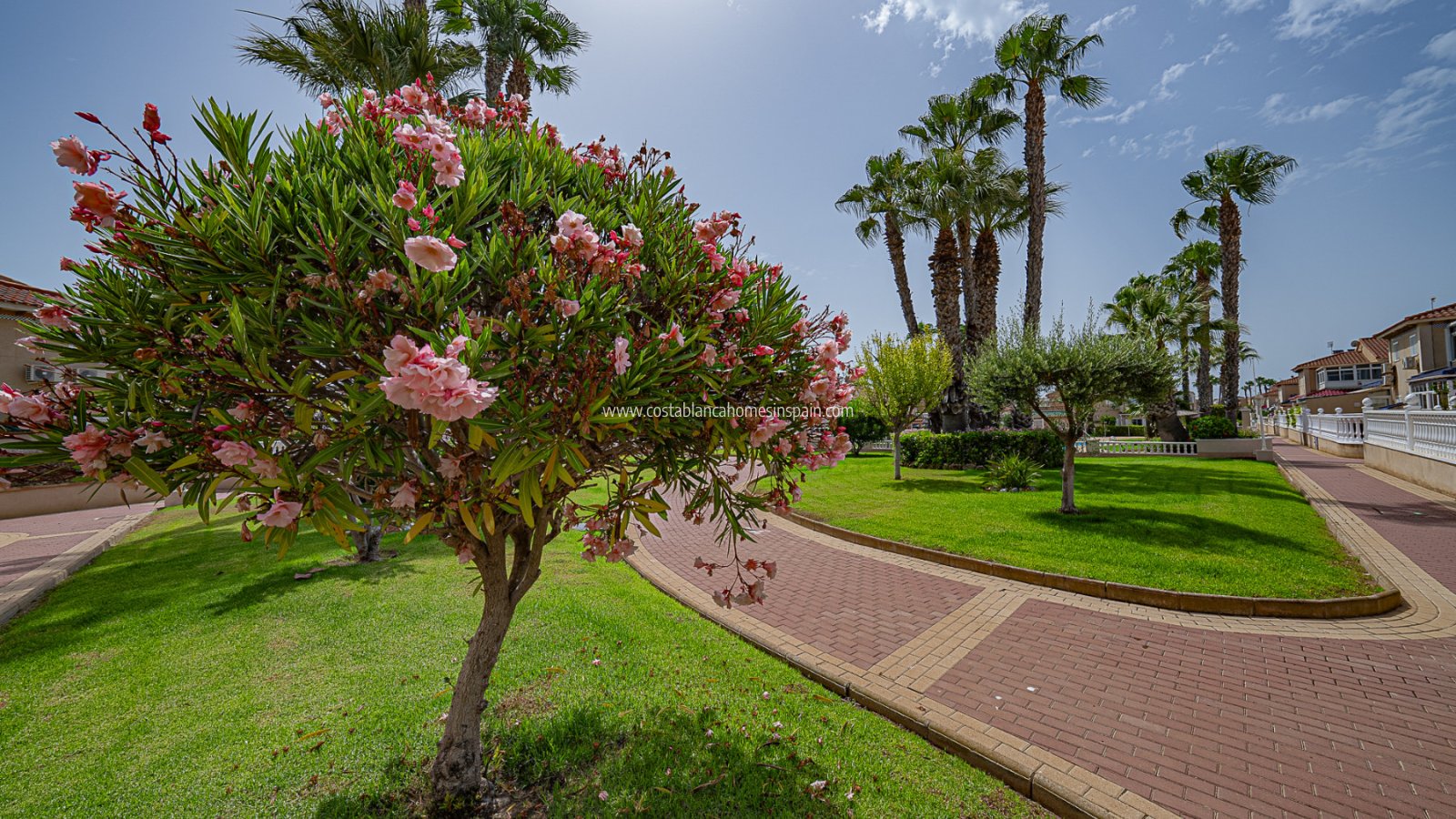 Resale - Apartment - Playa Flamenca - Zenia Mar
