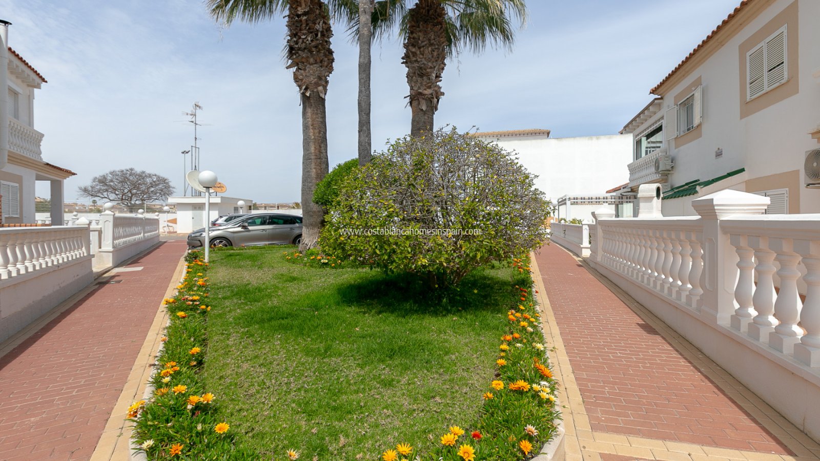 Resale - Apartment - Playa Flamenca - Zenia Mar