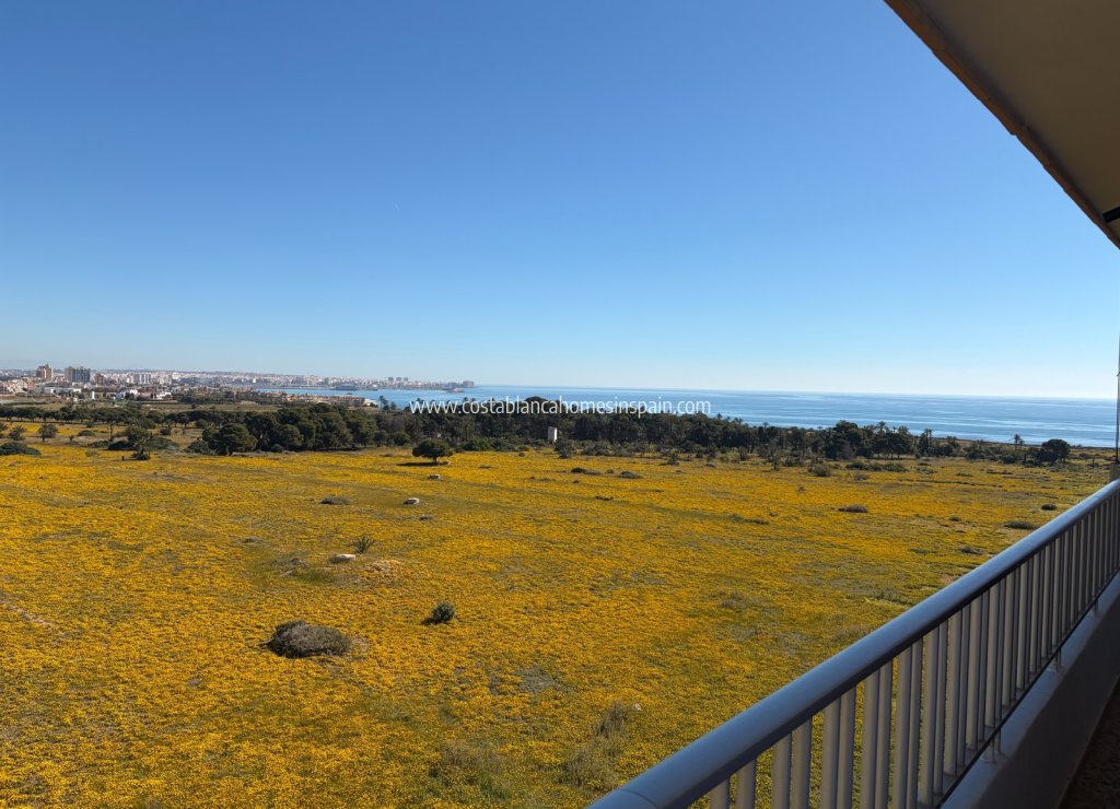 Resale - Apartment - Punta Prima - Punta prima , Orihuela Costa
