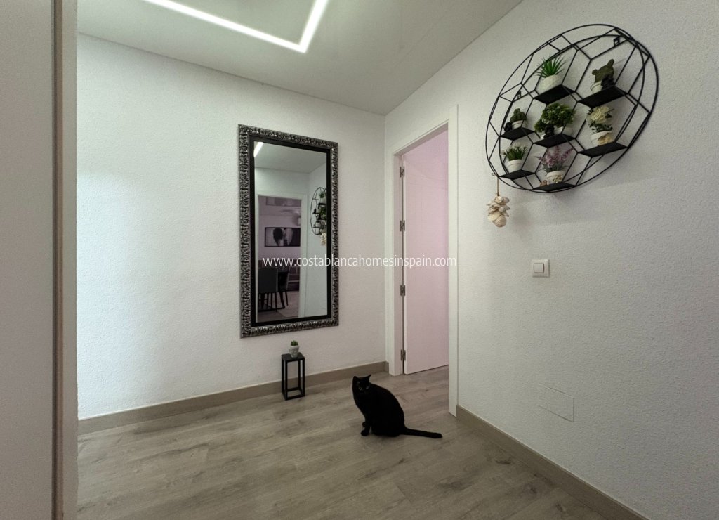 Resale - Apartment - Torrevieja - Centro