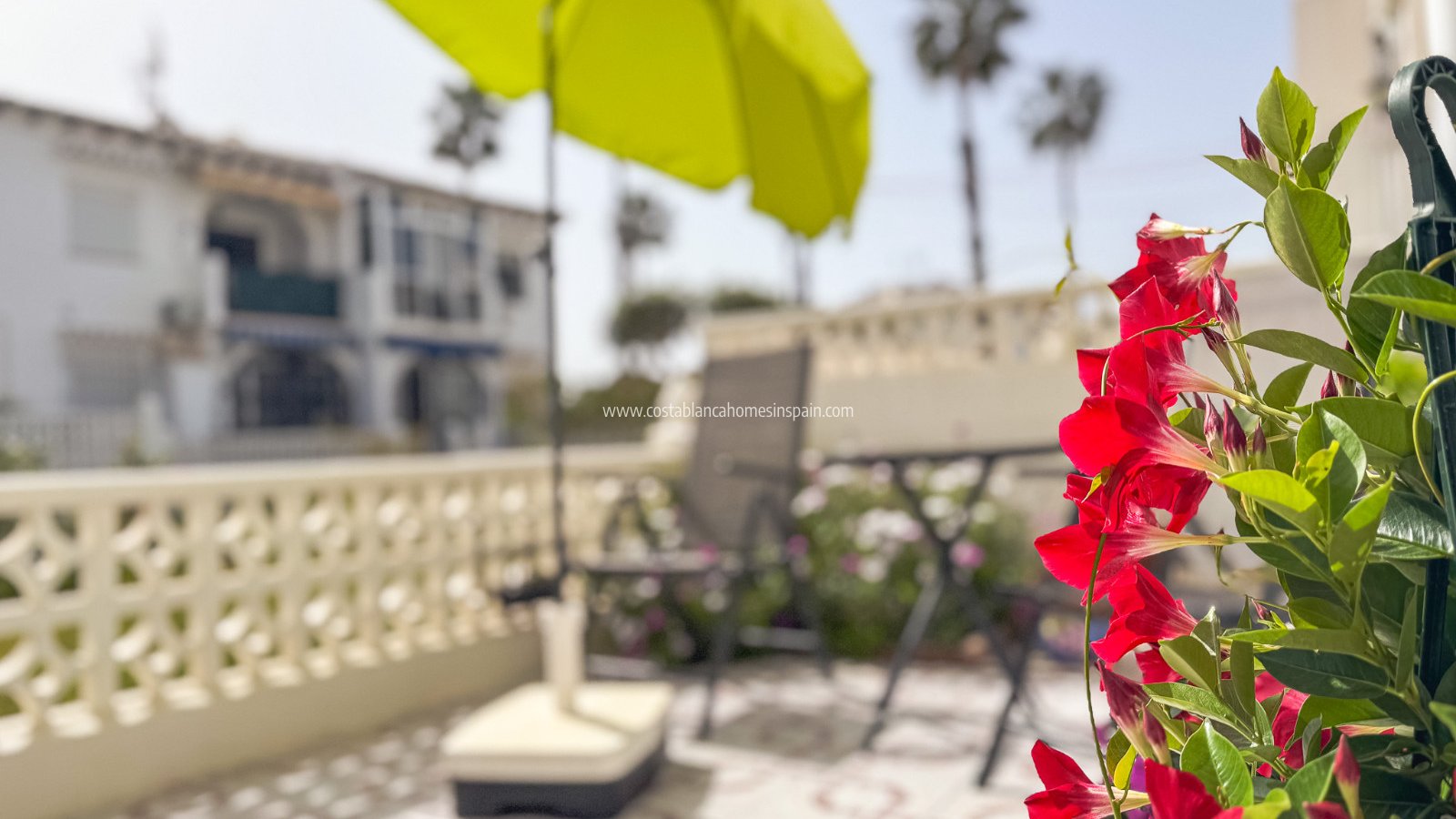 Resale - Bungalow - Torrevieja - Lago jardin
