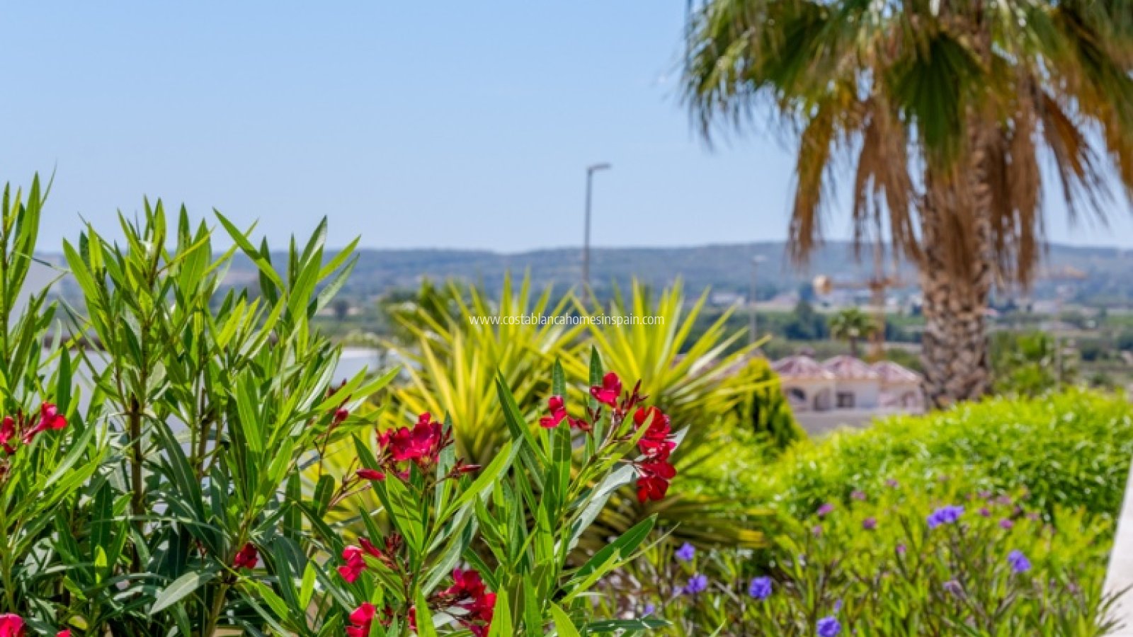 Resale - Detached Villa - La Marina