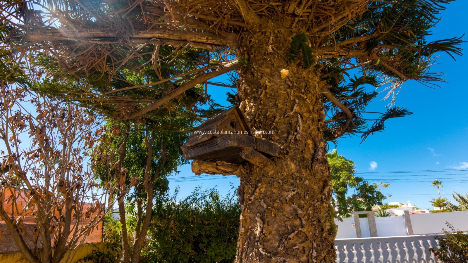 Resale - Detached Villa - Torrevieja - La Siesta