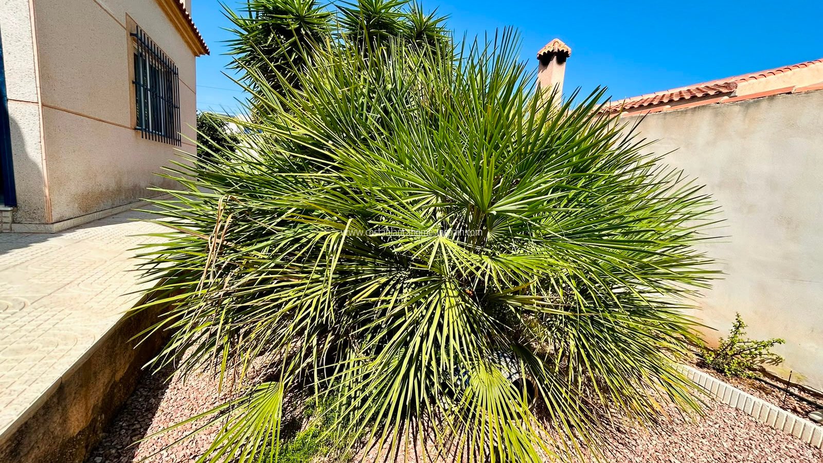 Resale - Detached Villa - Torrevieja - Urbanización San Luis