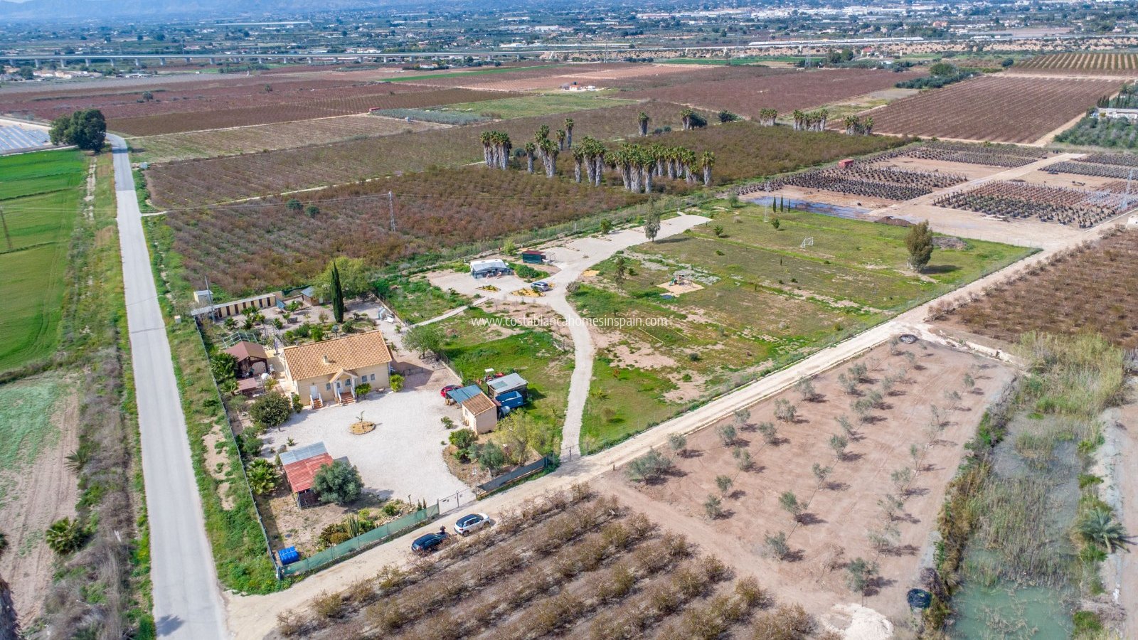 Resale - Finca - Crevillente