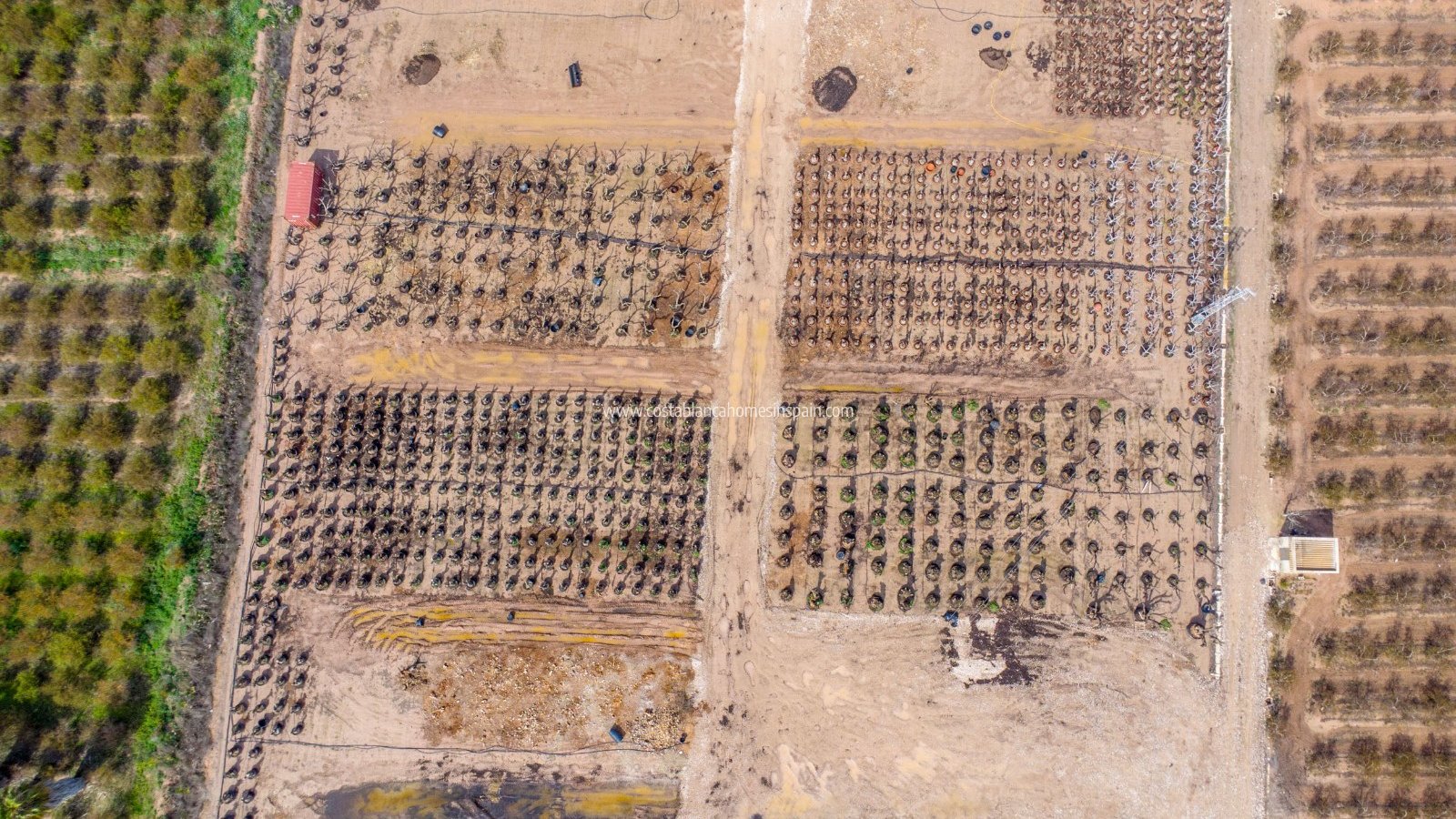 Resale - Finca - Crevillente