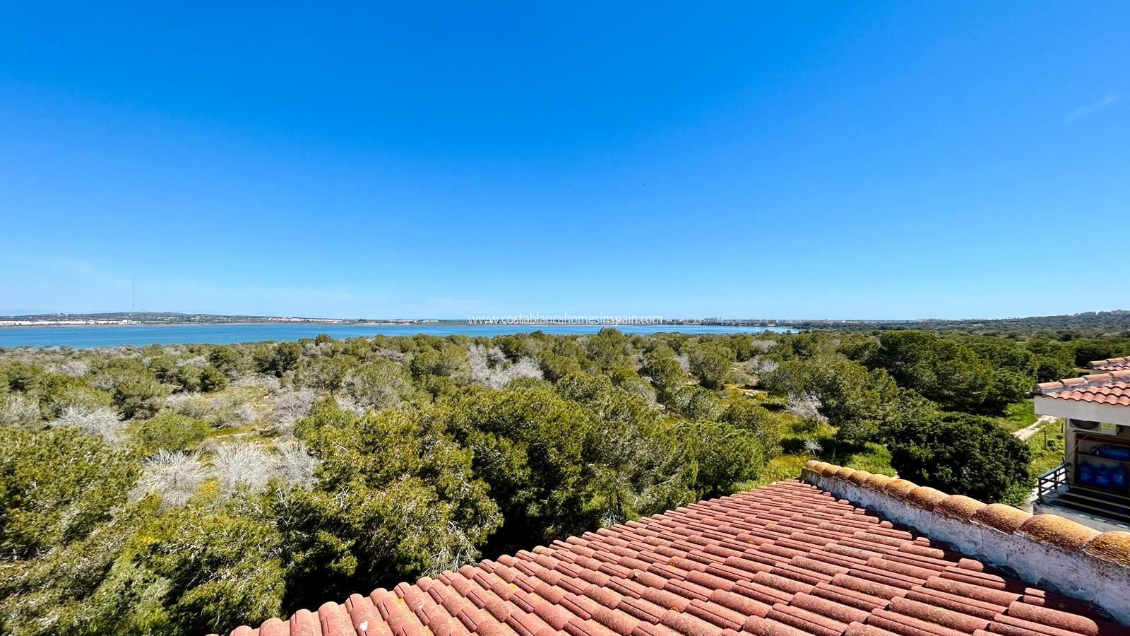 Resale - studio apartment - Torrevieja - El chaparral