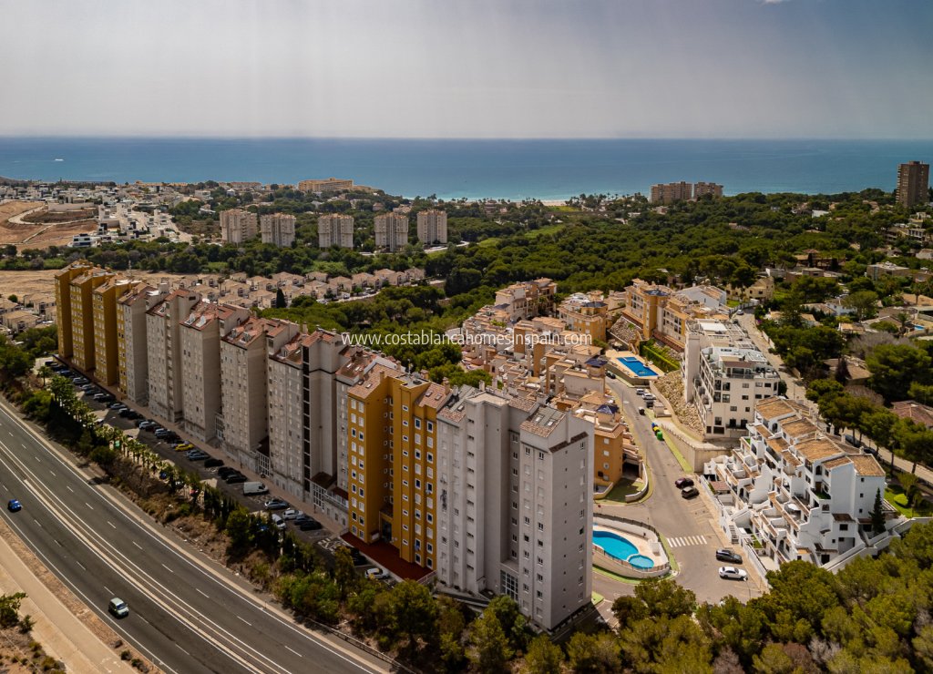 Revente - Apartment - Campoamor - Campoamor beach