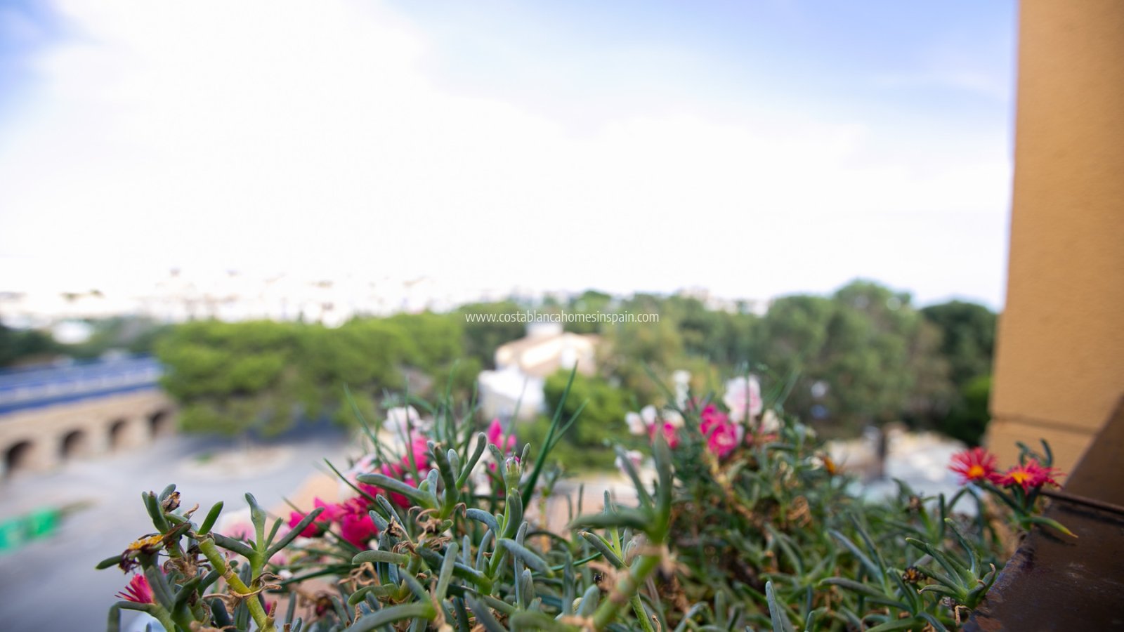 Revente - Apartment - La Zenia - Beachside