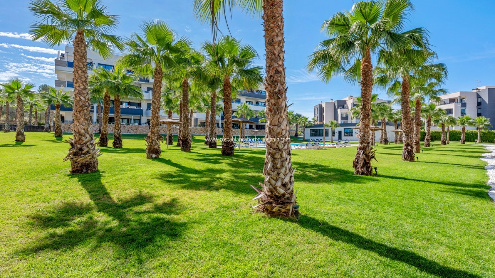 Revente - Apartment - Orihuela Costa - Los Altos