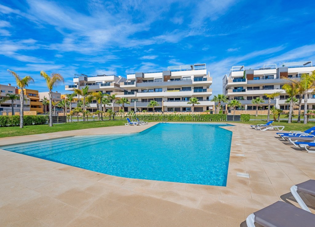 Revente - Apartment - Orihuela Costa - Playa Flamenca