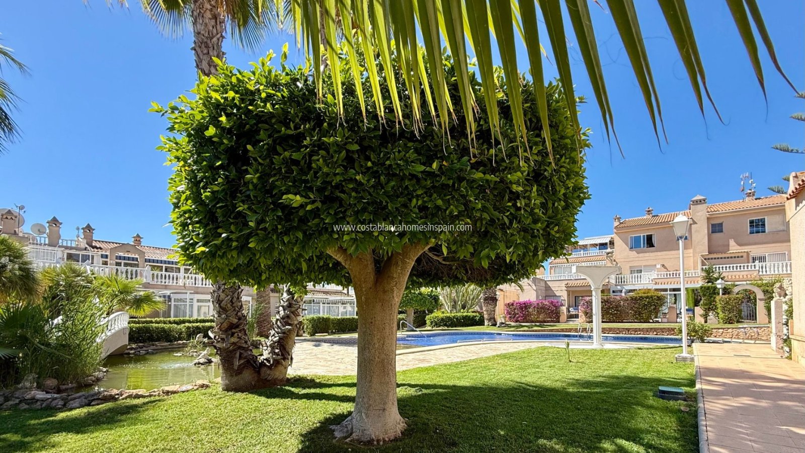 Revente - Apartment - Orihuela Costa - Playa Flamenca