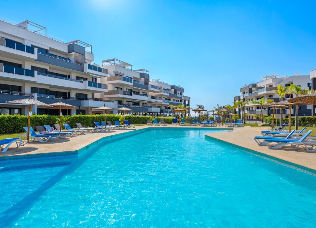 Revente - Apartment - Orihuela Costa - Playa Flamenca