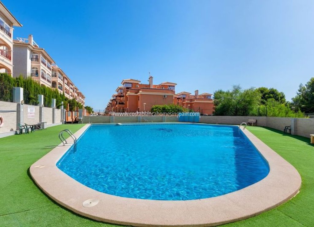 Revente - Apartment - Playa Flamenca - Costa Blanca South