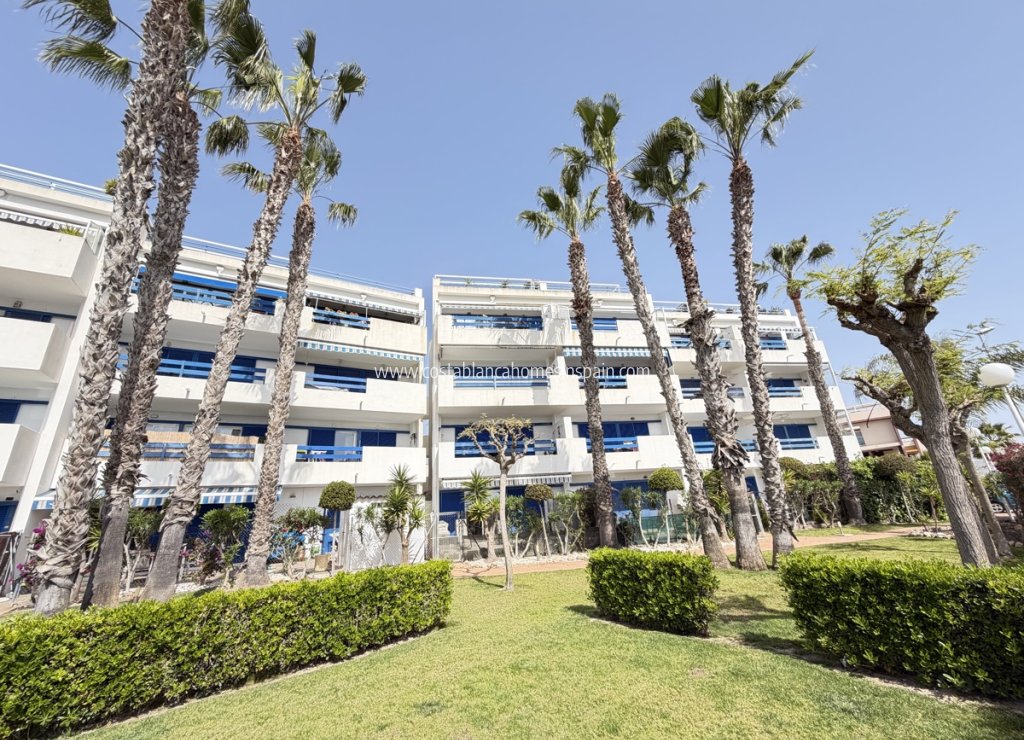 Revente - Apartment - Playa Flamenca - Orihuela Costa