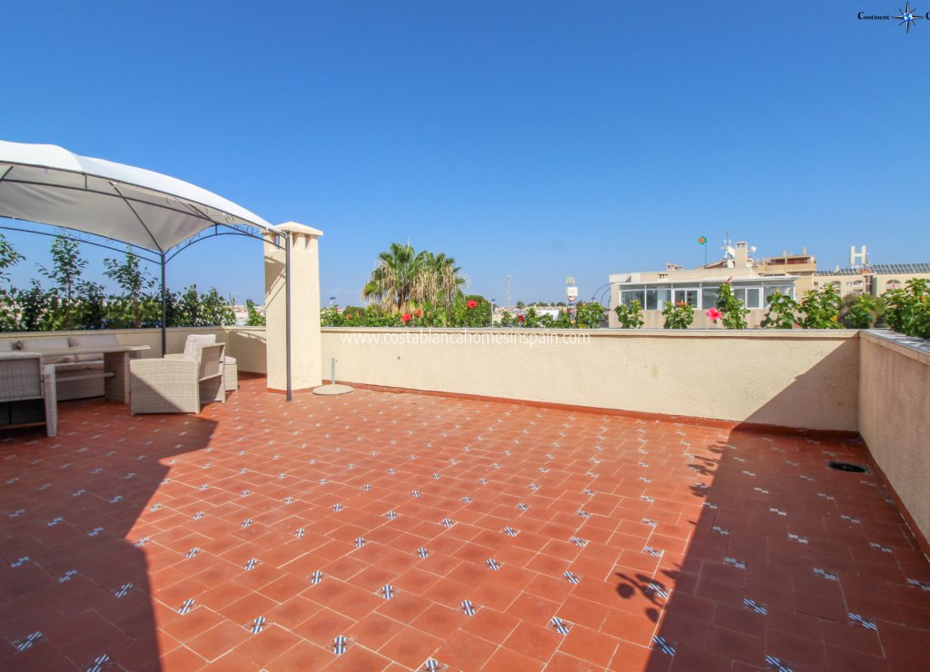 Revente - Apartment - Punta Prima - Beachside