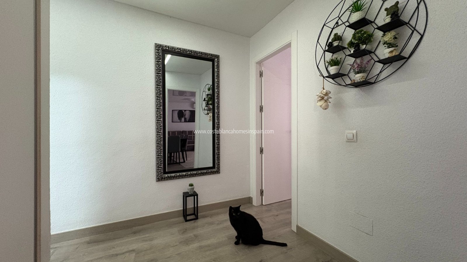 Revente - Apartment - Torrevieja - Centro