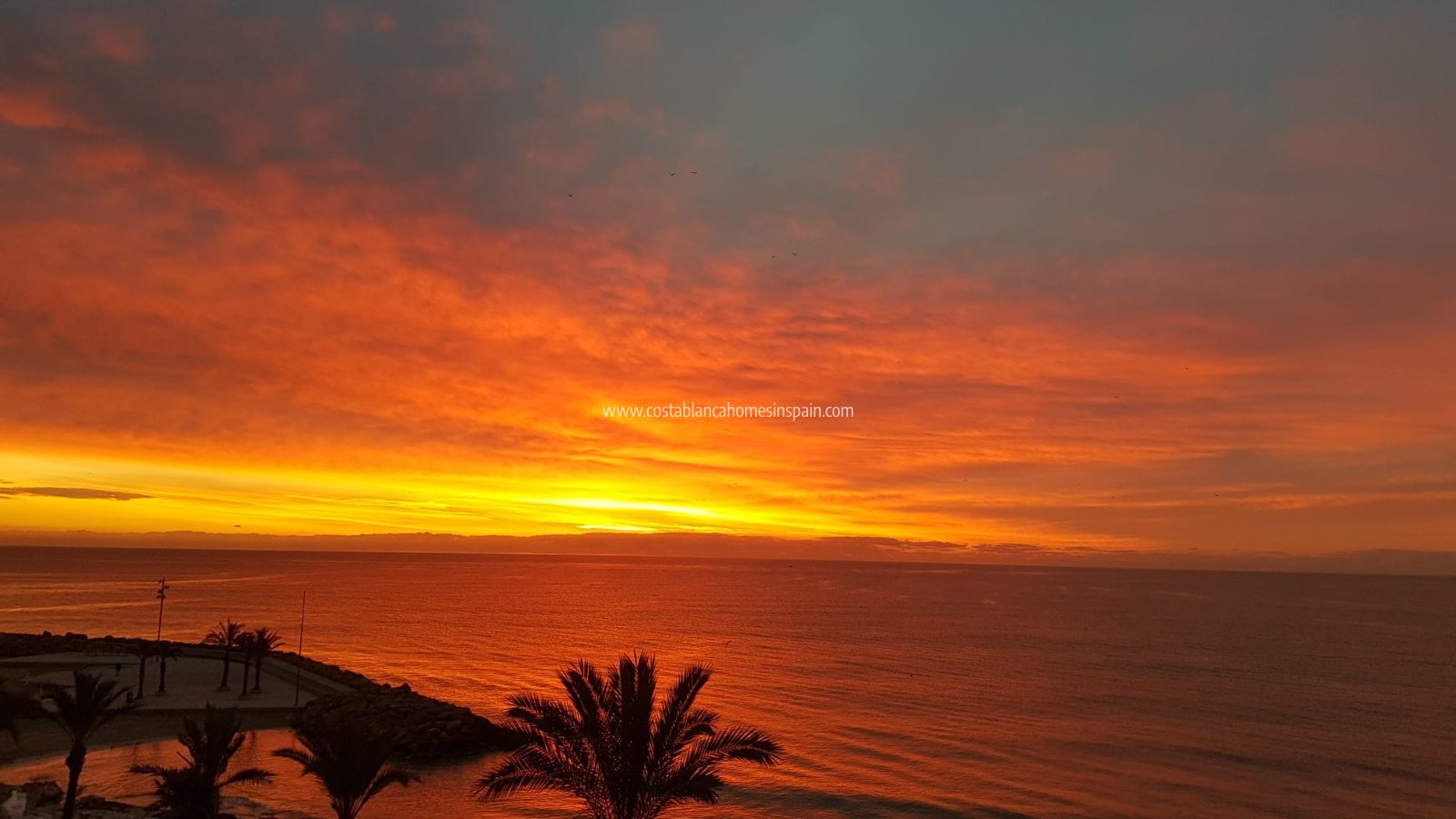 Revente - Apartment - Torrevieja - Playa del Cura