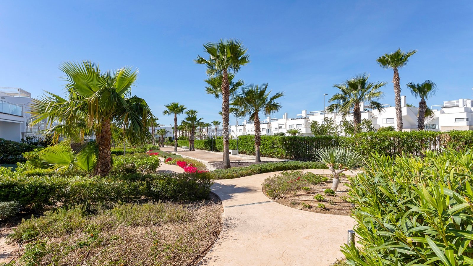 Revente - Apartment - Vistabella - Vistabella Golf
