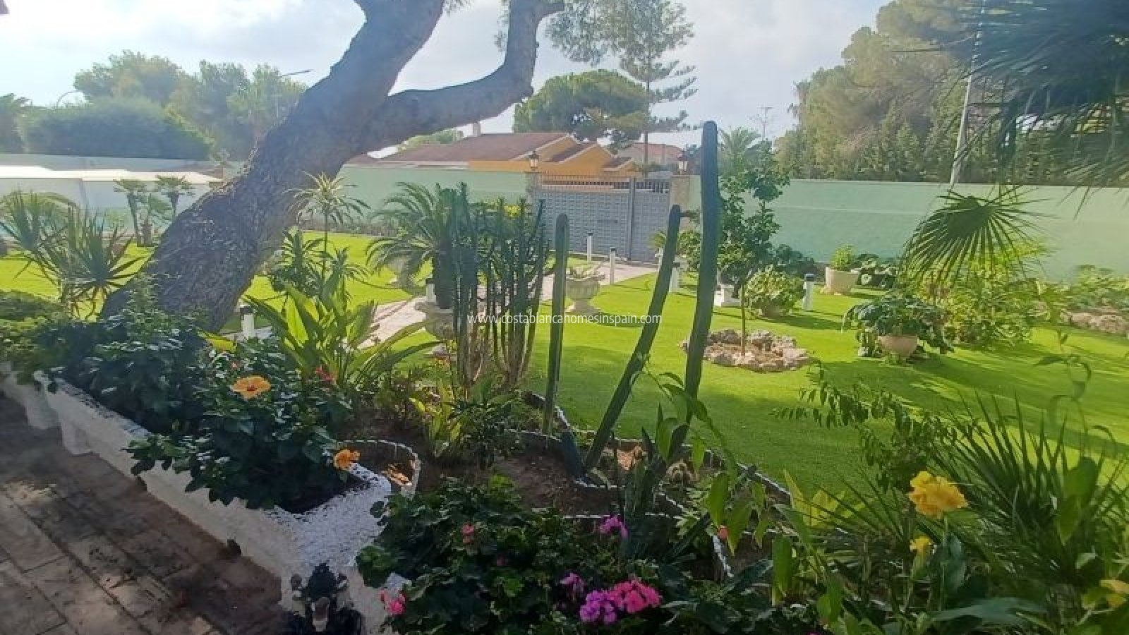 Revente - Detached Villa - Campoamor