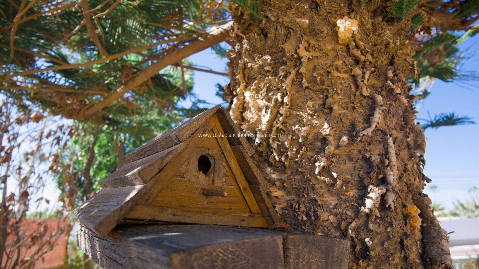 Revente - Detached Villa - Torrevieja - La Siesta