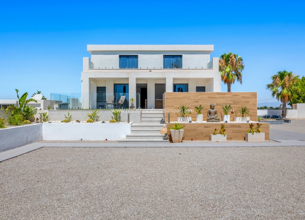 Revente - Finca - Los Montesinos - La herrada