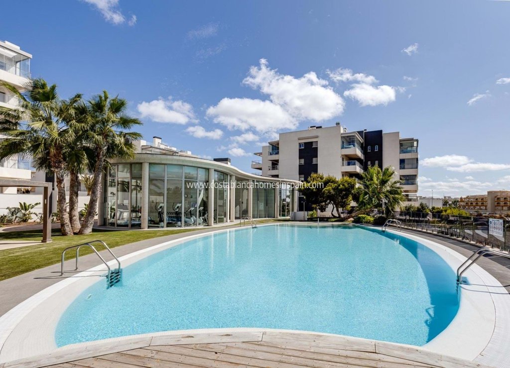 Sale - Apartment - Los Dolces - LOS DOLSES