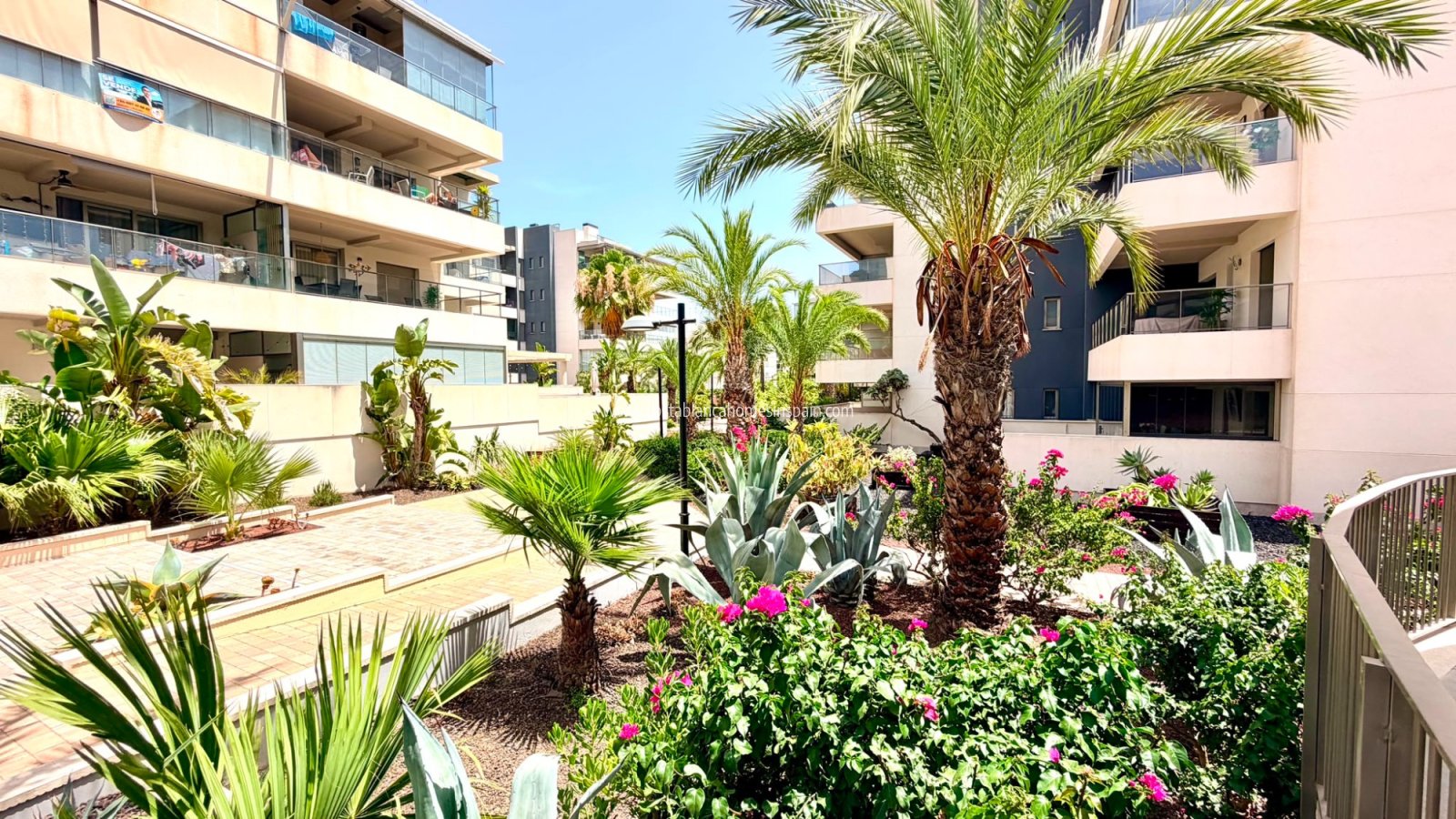Sale - Apartment - Orihuela Costa - La Zenia