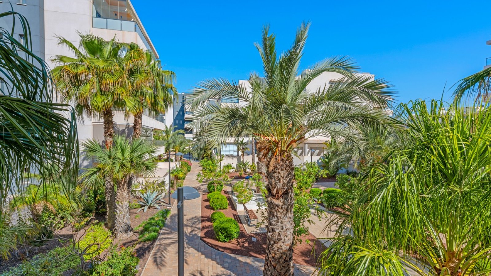 Sale - Apartment - Orihuela Costa - Los Dolses
